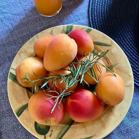 Cheriedel & Art Gallery B&B 3*