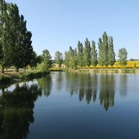 Cheriedel & Evening Meal Art Gallery Bed & Breakfast 3*